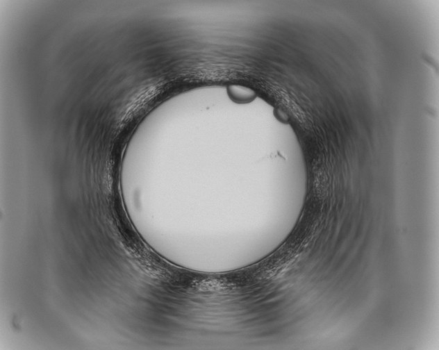 X0000096470635200802141659