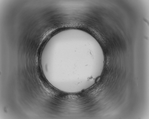 X0000096470636200802141659