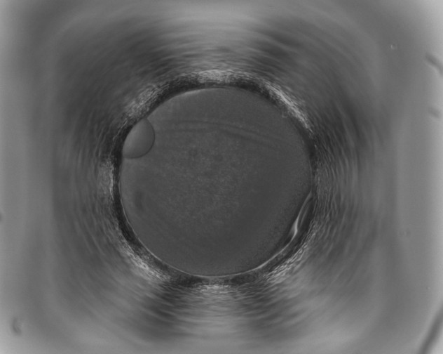 X0000096470637200802141659