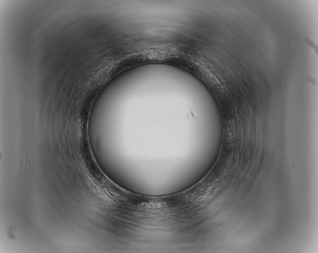 X0000096470639200802141659