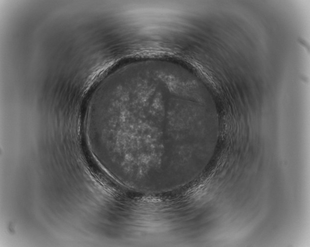 X0000096470640200802141659