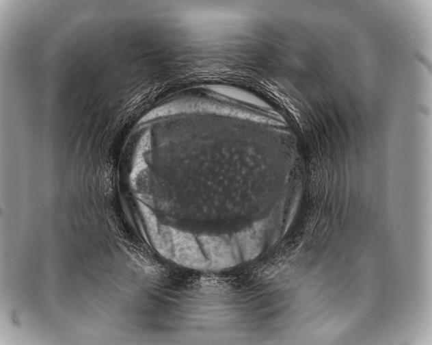 X0000096470641200802141659