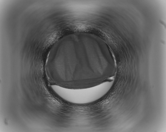 X0000096470642200802141659