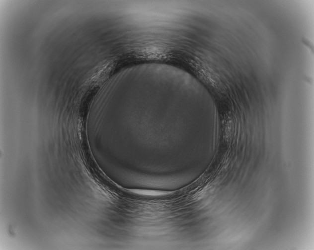 X0000096470643200802141659