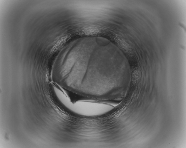 X0000096470644200802141659