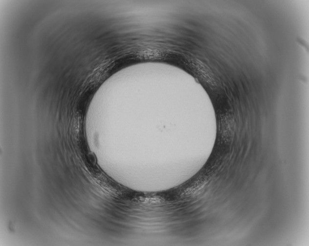 X0000096470645200802141659