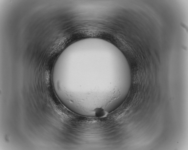 X0000096470646200802141659