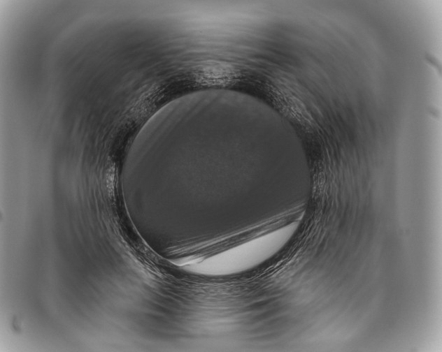 X0000096470647200802141659