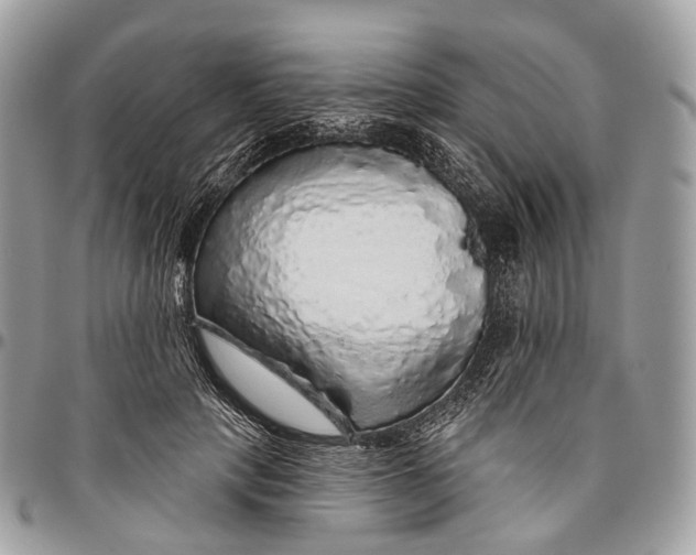 X0000096470649200802141659