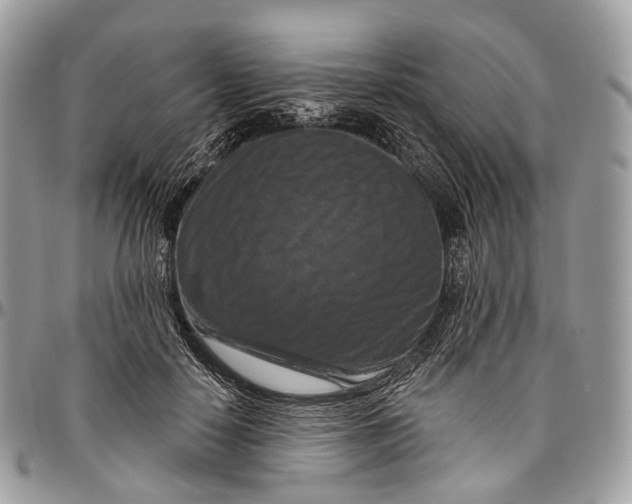 X0000096470650200802141659