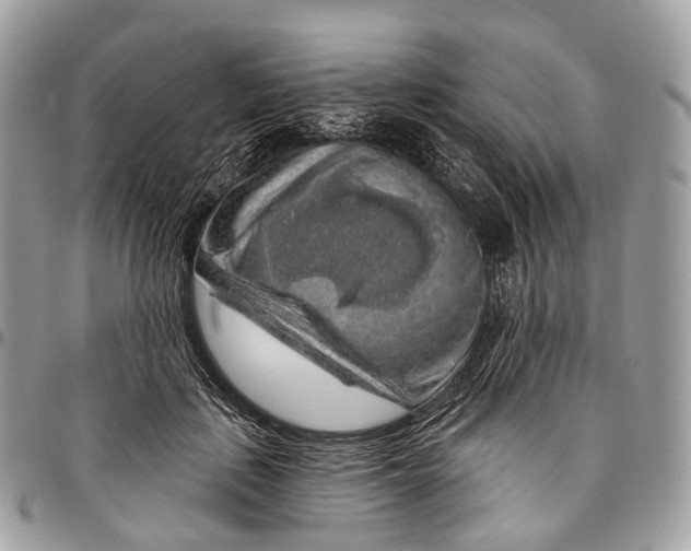 X0000096470651200802141659