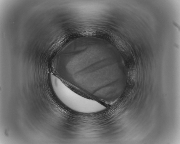 X0000096470652200802141659