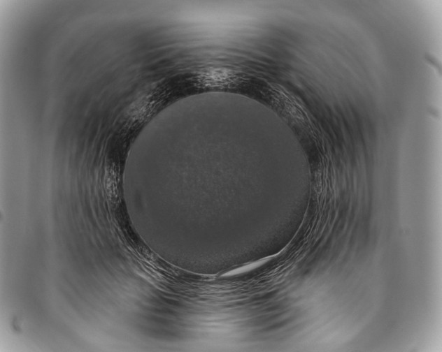 X0000096470653200802141659