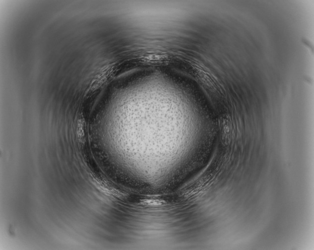 X0000096470654200802141659