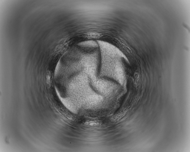 X0000096470655200802141659