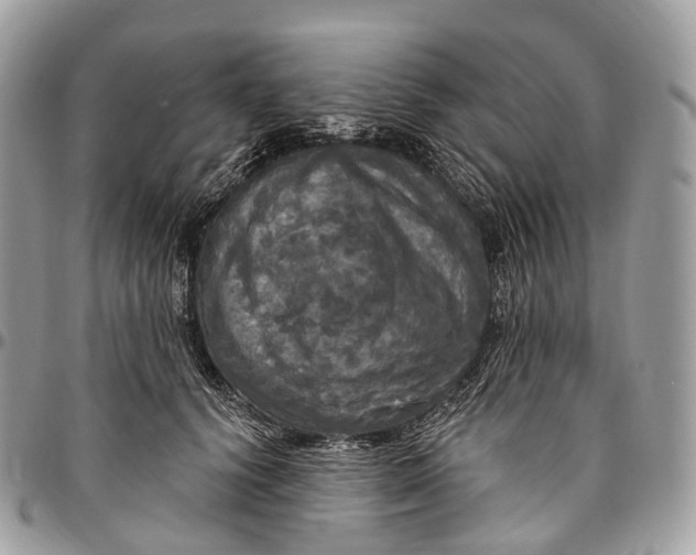 X0000096470656200802141659