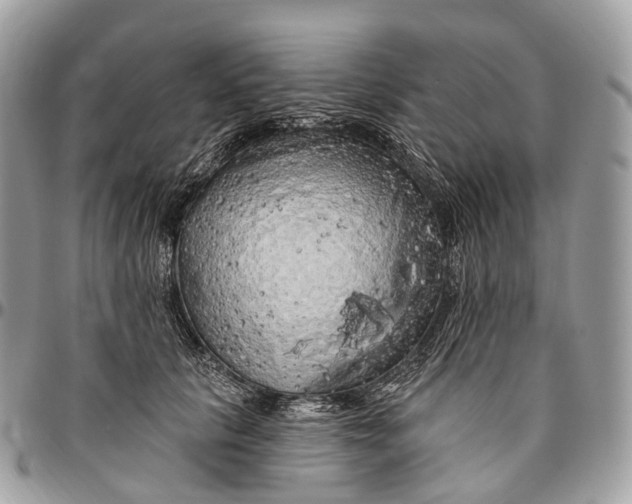 X0000096470657200802141659