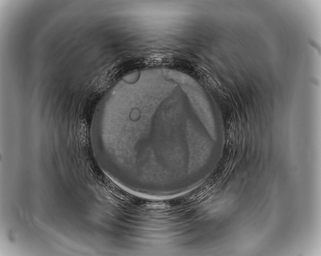 X0000096470659200802141659