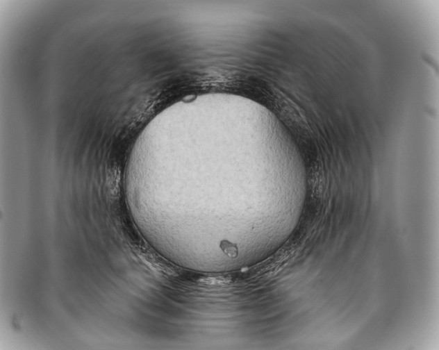 X0000096470660200802141659