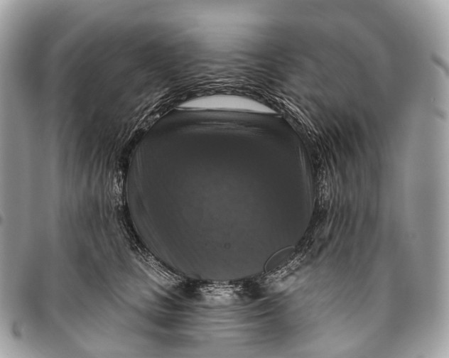 X0000096470661200802141659