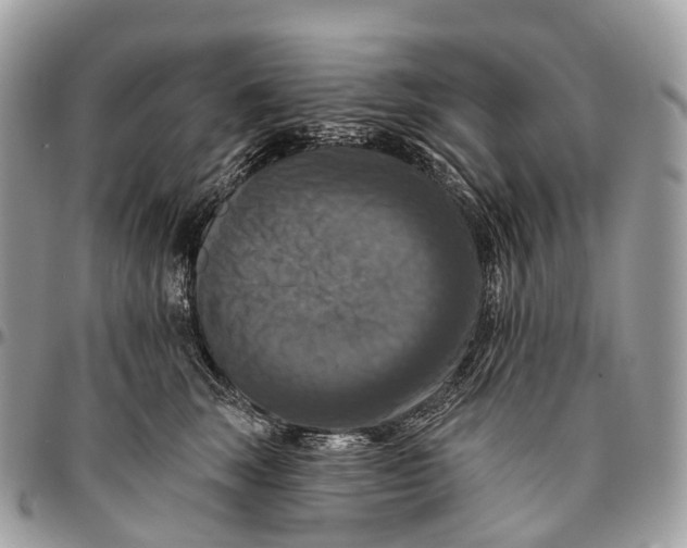 X0000096470663200802141659