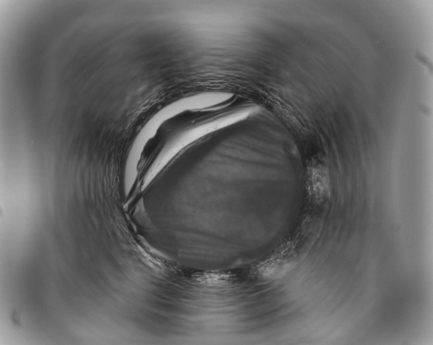 X0000096470664200802141659