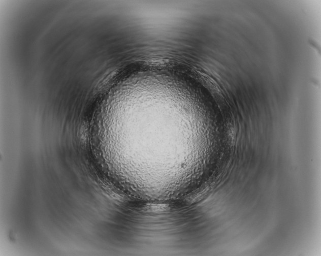 X0000096470665200802141659