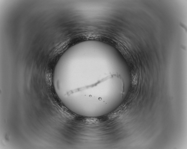 X0000096470666200802141659