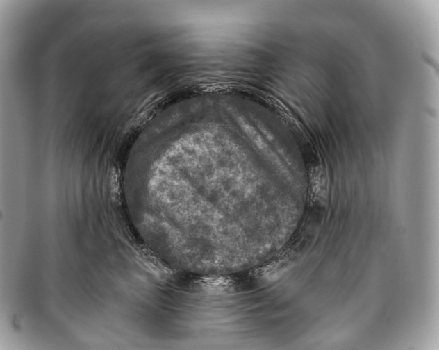 X0000096470667200802141659