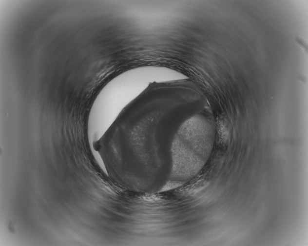 X0000096470668200802141659