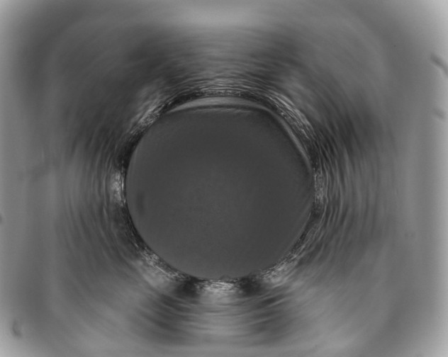 X0000096470669200802141659