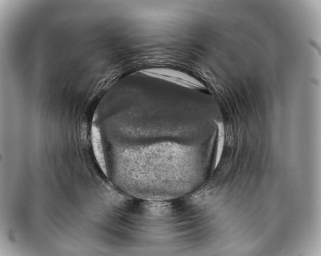 X0000096470670200802141659