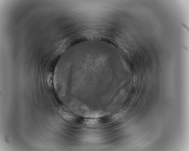 X0000096470671200802141659