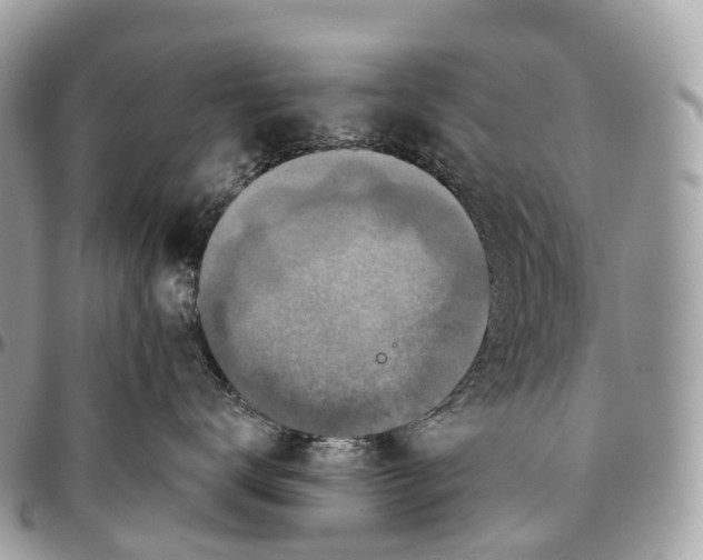 X0000096470672200802141659