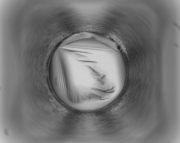 X0000096470673200802141659