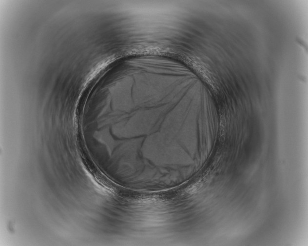 X0000096470674200802141659