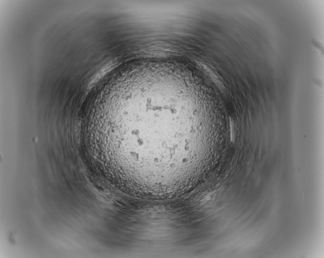 X0000096470675200802141659