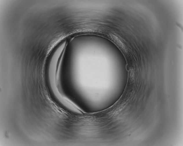 X0000096470676200802141659