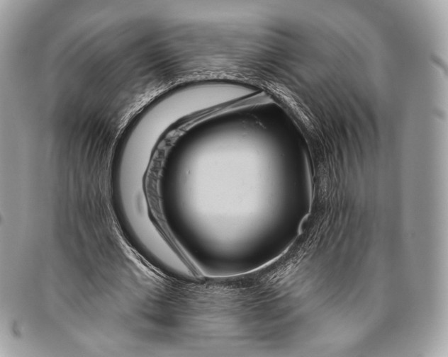 X0000096470677200802141659