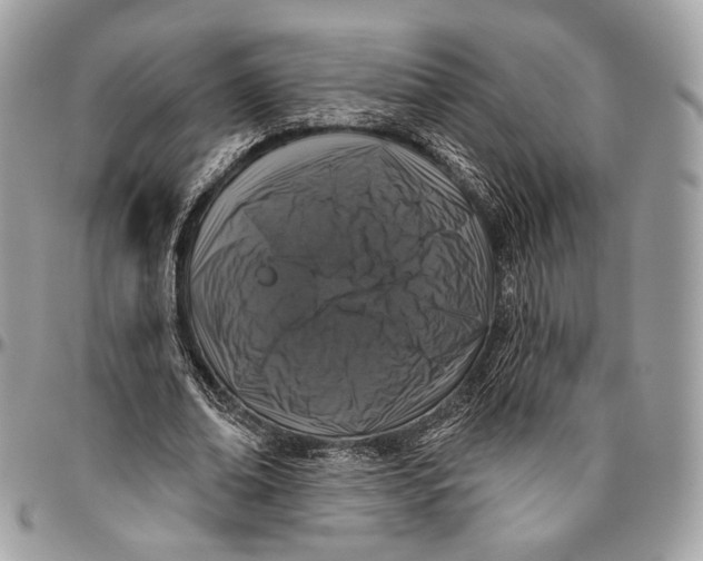 X0000096470678200802141658