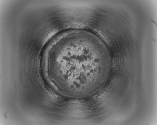 X0000096470679200802141658