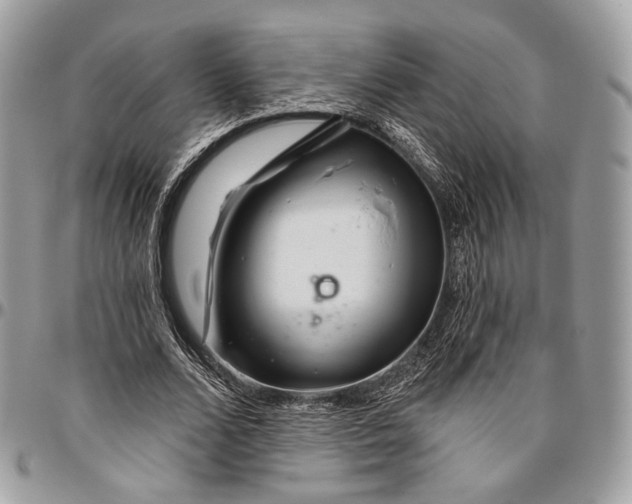 X0000096470680200802141658