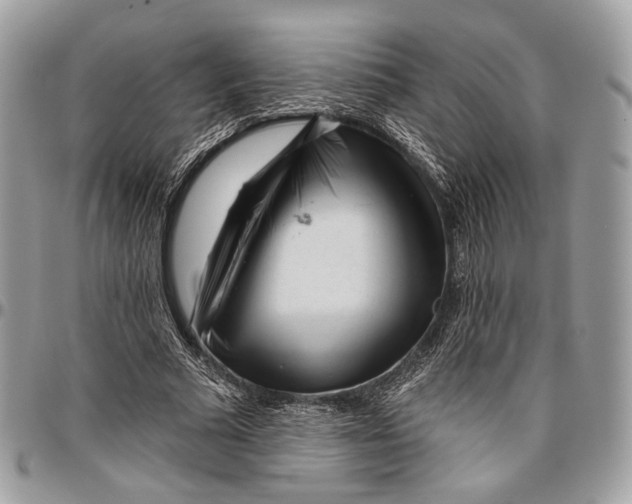 X0000096470681200802141658