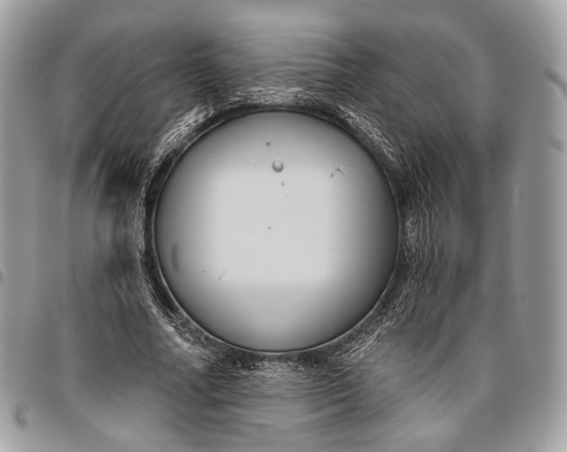 X0000096470682200802141658