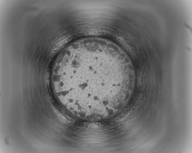 X0000096470683200802141658