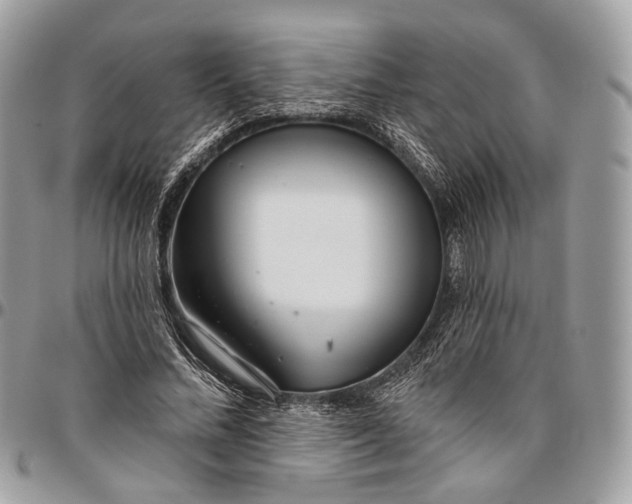 X0000096470684200802141658