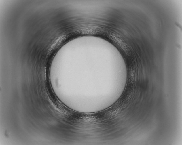 X0000096470686200802141658