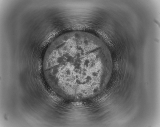 X0000096470687200802141658