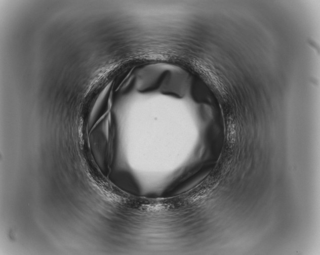 X0000096470688200802141658