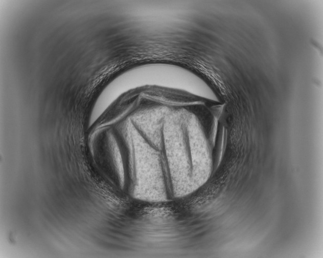 X0000096470689200802141658